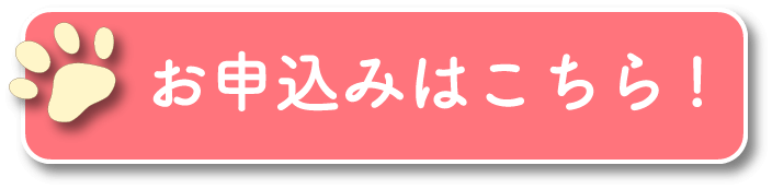 お申込みはこちら！