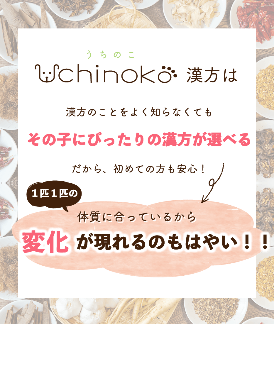 その子にぴったりの漢方が選べる