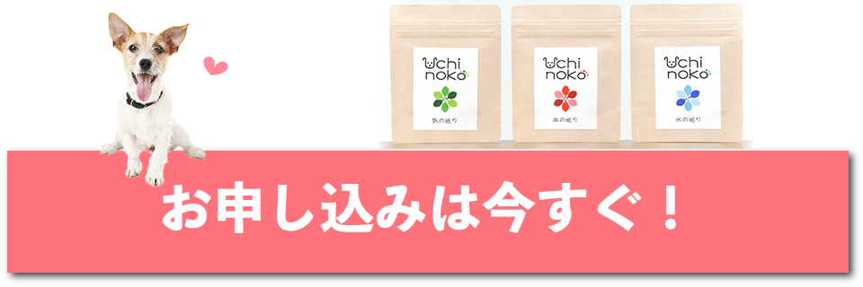 お申し込みは今すぐ！