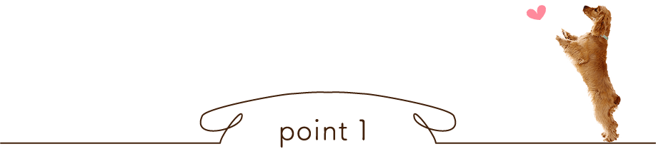 point１