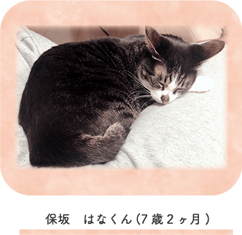 保坂 はなくん(7歳2ヶ月)