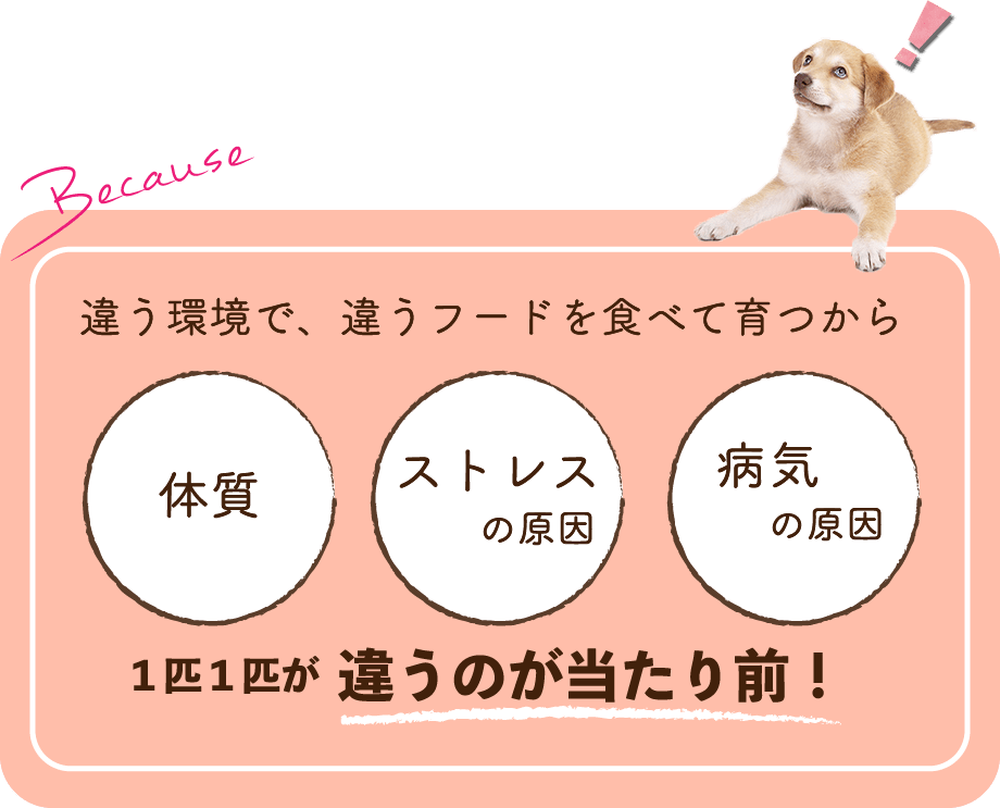 違う環境で、違うフードを食べて育つから体質や、ストレス・病気の原因が違うのが当たり前!