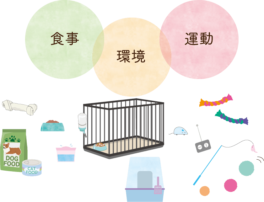 食事・環境・運動