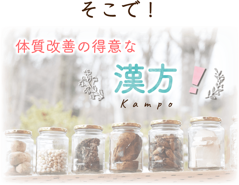 体質改善の得意な漢方