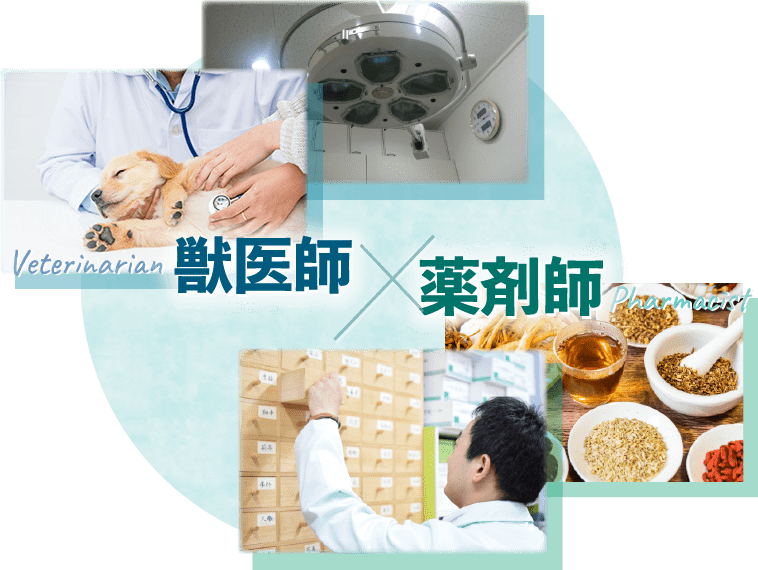 獣医師×薬剤師