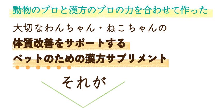 動物のプロと漢方のプロの力を合わせて作った大切なわんちゃん・ねこちゃんの体質改善をサポートするペットのための漢方サプリメント