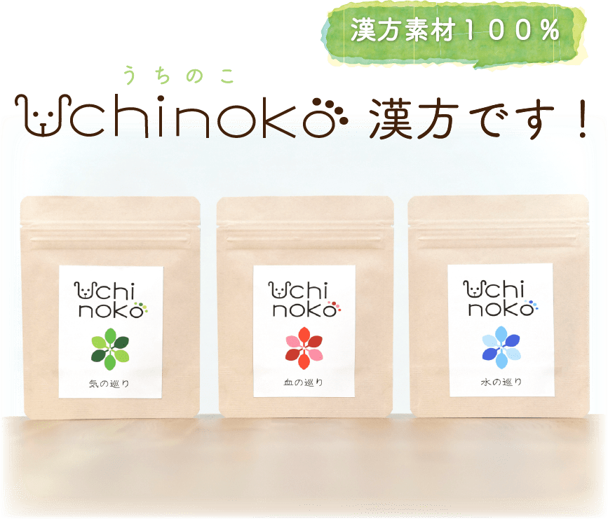 Uchinoko漢方です!