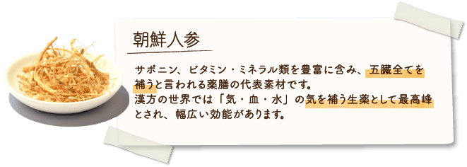 朝鮮人参