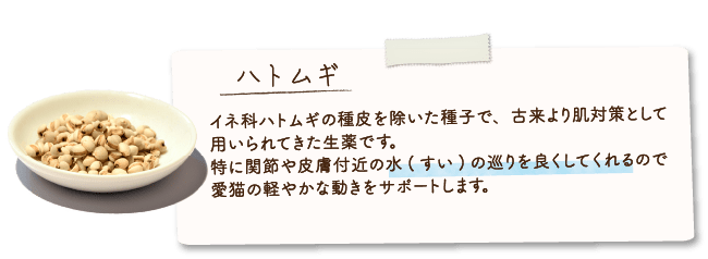ハトムギ