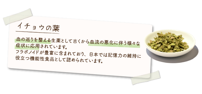 イチョウの葉
